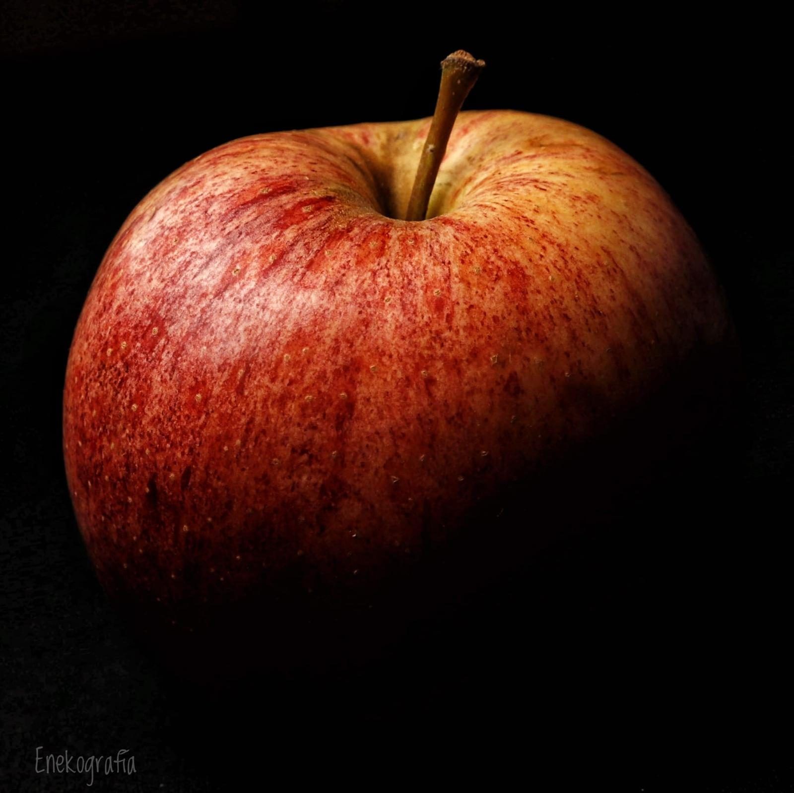 Manzana de Aramaio